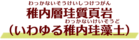 稚内層珪質頁岩（いわゆる稚内珪藻土）