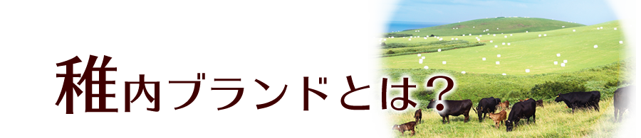 稚内ブランドとは？